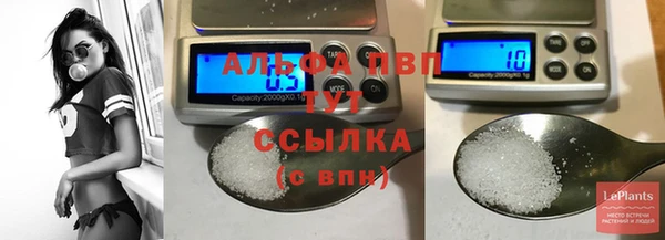 винт Аркадак