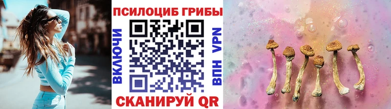 Псилоцибиновые грибы GOLDEN TEACHER  Купить  Ясногорск 